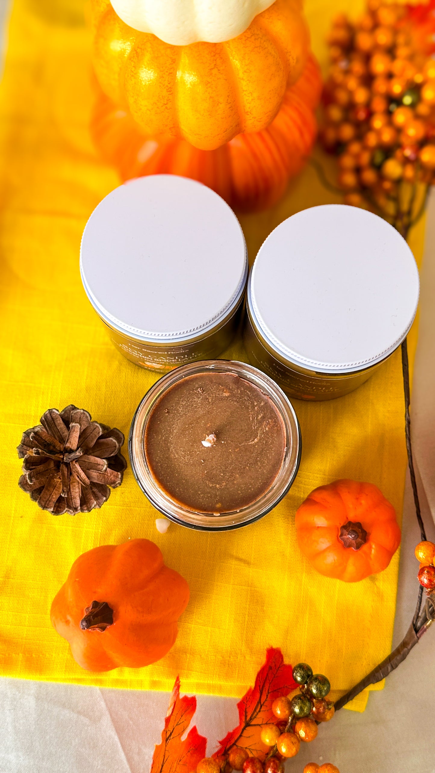 CANDLE: Pumpkin Spice đ