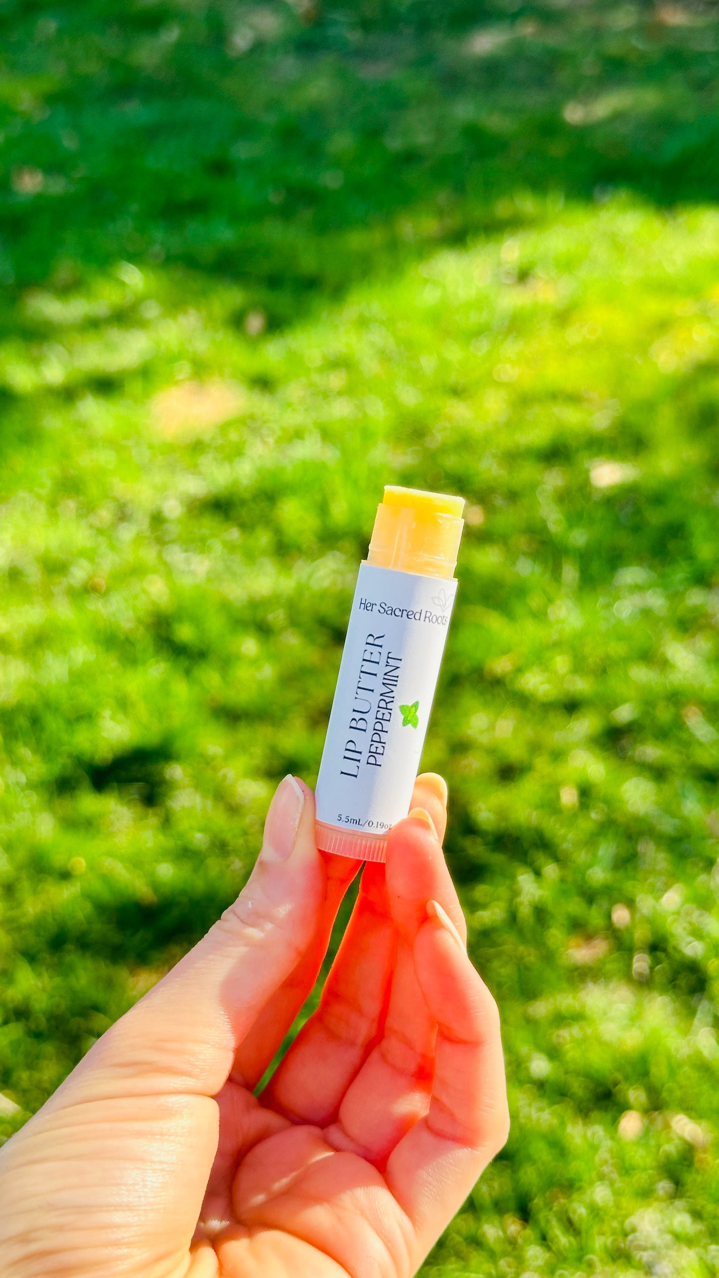 Tallow Lip Balms (Peppermint/Orange/Lemon/ Velvet Rose)