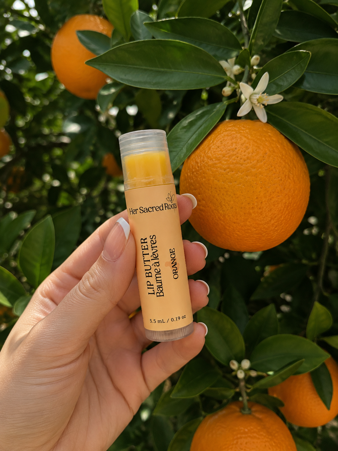 💋 Tallow Lip Balms (Peppermint/Orange/Lemon/ Velvet Rose)